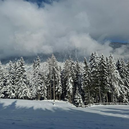 Casableiberg - Garten Apartment - Naturpark Dobratsch Bad Bleiberg Εξωτερικό φωτογραφία