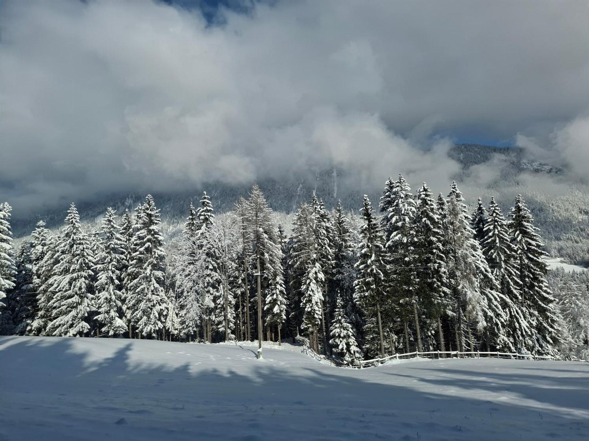 Casableiberg - Garten Apartment - Naturpark Dobratsch Bad Bleiberg Εξωτερικό φωτογραφία